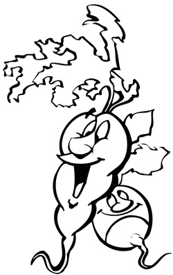 Иллюстрация к книге — Салаты из овощей, фруктов и прочих продуктов [i_006.jpg]