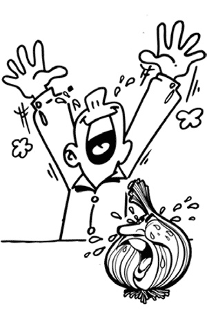 Иллюстрация к книге — Салаты из овощей, фруктов и прочих продуктов [i_008.jpg]