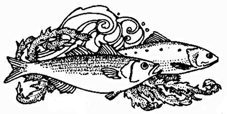 Иллюстрация к книге — Салаты из мяса, рыбы, птицы для села и столицы [i_008.jpg]