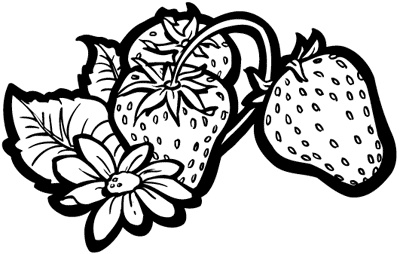 Иллюстрация к книге — Салаты и закуски по-русски [i_011.jpg]