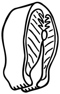 Иллюстрация к книге — Рыбные блюда. Рецепты на любой вкус [i_002.jpg]