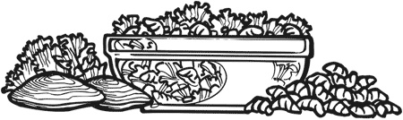 Иллюстрация к книге — Постные блюда. Вкусно, сытно и без греха [i_002.jpg]