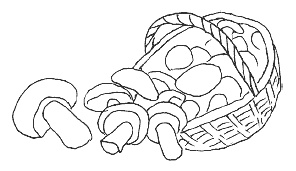 Иллюстрация к книге — Секреты домашних маринадов [i_012.jpg]