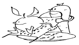 Иллюстрация к книге — Секреты домашних маринадов [i_019.jpg]