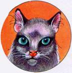 Иллюстрация к книге — Секреты племен [pic_116.jpg]