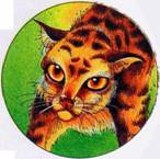 Иллюстрация к книге — Секреты племен [pic_134.jpg]