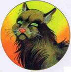 Иллюстрация к книге — Секреты племен [pic_152.jpg]