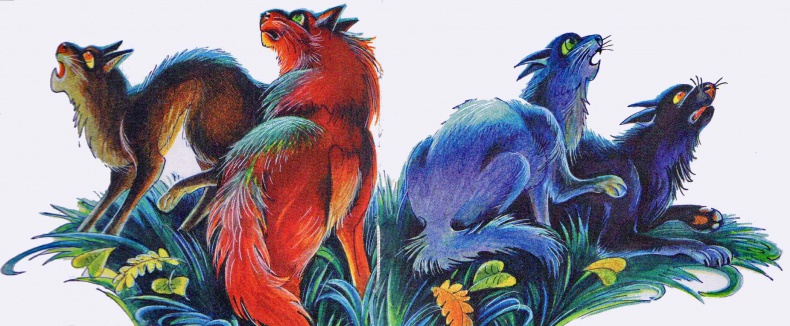 Иллюстрация к книге — Секреты племен [pic_16.jpg]