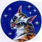 Иллюстрация к книге — Секреты племен [pic_182.jpg]