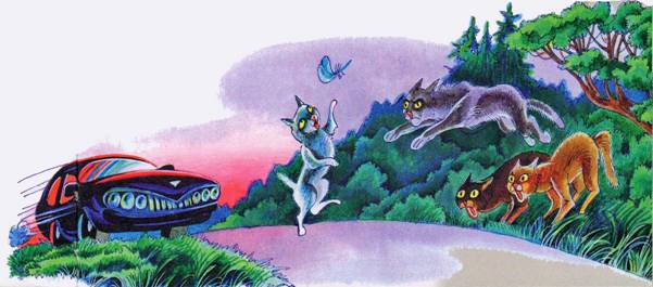 Иллюстрация к книге — Секреты племен [pic_206.jpg]