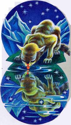 Иллюстрация к книге — Секреты племен [pic_214.jpg]