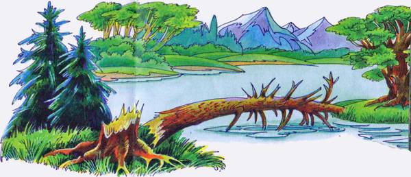 Иллюстрация к книге — Секреты племен [pic_216.jpg]