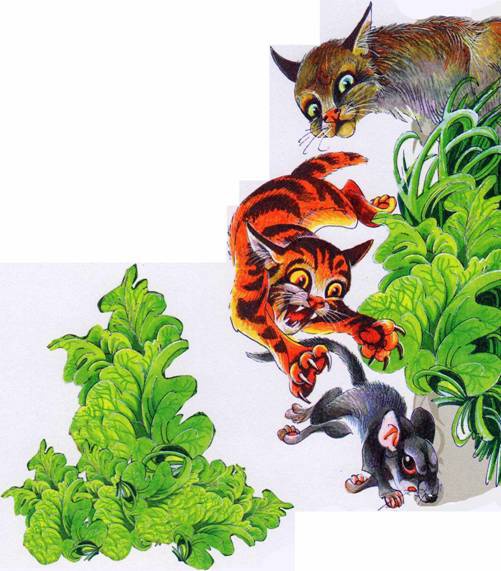 Иллюстрация к книге — Секреты племен [pic_224.jpg]