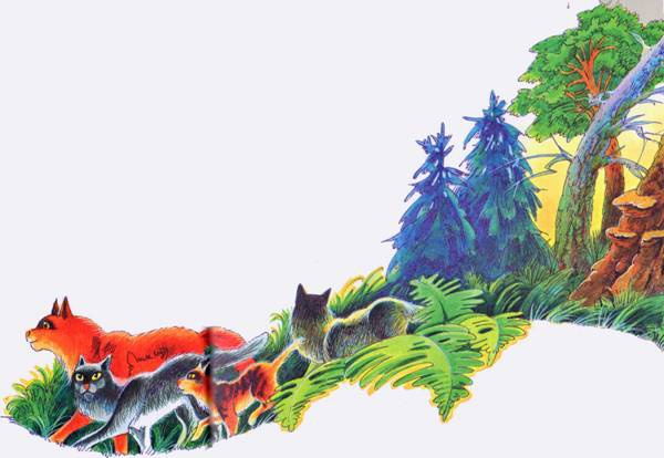 Иллюстрация к книге — Секреты племен [pic_226.jpg]