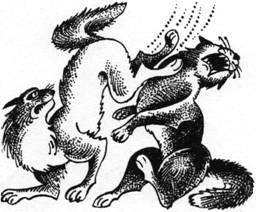 Иллюстрация к книге — Секреты племен [pic_234.jpg]