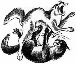 Иллюстрация к книге — Секреты племен [pic_236.jpg]