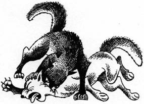 Иллюстрация к книге — Секреты племен [pic_242.jpg]