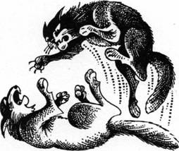 Иллюстрация к книге — Секреты племен [pic_248.jpg]