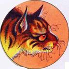 Иллюстрация к книге — Секреты племен [pic_250.jpg]