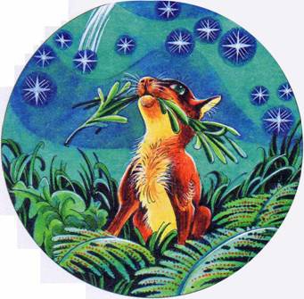 Иллюстрация к книге — Секреты племен [pic_262.jpg]