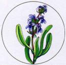 Иллюстрация к книге — Секреты племен [pic_270.jpg]