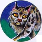 Иллюстрация к книге — Секреты племен [pic_324.jpg]