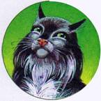 Иллюстрация к книге — Секреты племен [pic_330.jpg]