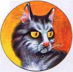 Иллюстрация к книге — Секреты племен [pic_336.jpg]