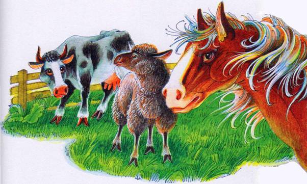 Иллюстрация к книге — Секреты племен [pic_350.jpg]