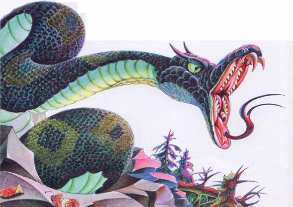 Иллюстрация к книге — Секреты племен [pic_356.jpg]