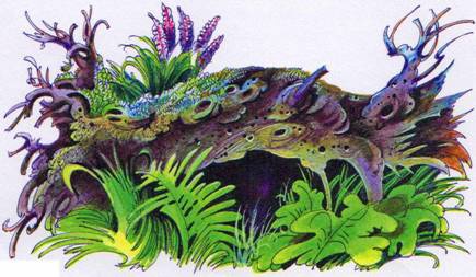 Иллюстрация к книге — Секреты племен [pic_42.jpg]