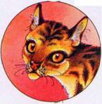 Иллюстрация к книге — Секреты племен [pic_62.jpg]