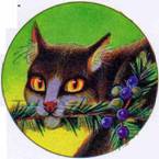 Иллюстрация к книге — Секреты племен [pic_68.jpg]