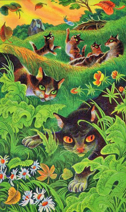 Иллюстрация к книге — Секреты племен [pic_70.jpg]