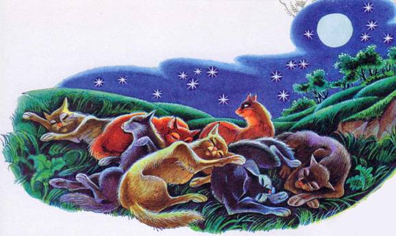 Иллюстрация к книге — Секреты племен [pic_82.jpg]