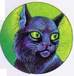 Иллюстрация к книге — Секреты племен [pic_88.jpg]