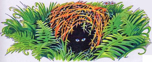 Иллюстрация к книге — Секреты племен [pic_92.jpg]