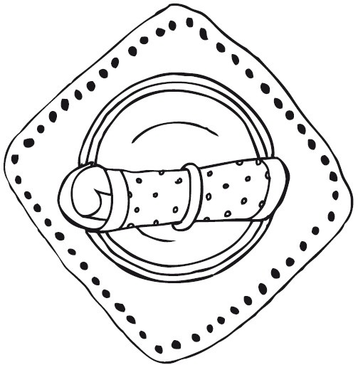 Иллюстрация к книге — Оригинальные рулеты. Готовим, как профессионалы! [i_004.jpg]