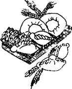 Иллюстрация к книге — Осетинские пироги и другая выпечка Востока [i_026.jpg]