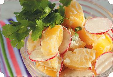 Иллюстрация к книге — Холодные и теплые салаты. Мясные, рыбные, овощные, корейские, постные + 50 салатных заправок [i_102.jpg]