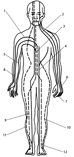 Иллюстрация к книге — Восточный путь самоомоложения. Все лучшие техники и методики [_016.jpg]