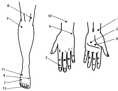 Иллюстрация к книге — Восточный путь самоомоложения. Все лучшие техники и методики [_018.jpg]