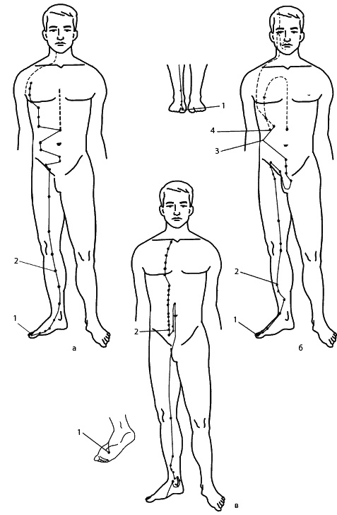 Иллюстрация к книге — Восточный путь самоомоложения. Все лучшие техники и методики [_131.jpg]