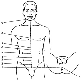 Иллюстрация к книге — Восточный путь самоомоложения. Все лучшие техники и методики [_134_2.jpg]