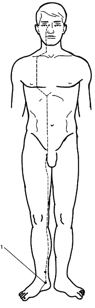 Иллюстрация к книге — Восточный путь самоомоложения. Все лучшие техники и методики [_136_2.jpg]