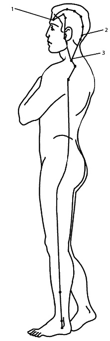 Иллюстрация к книге — Восточный путь самоомоложения. Все лучшие техники и методики [_138.jpg]