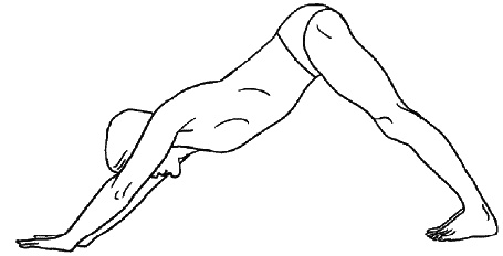 Иллюстрация к книге — Восточный путь самоомоложения. Все лучшие техники и методики [_279.jpg]