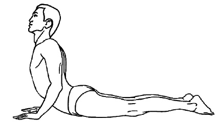 Иллюстрация к книге — Восточный путь самоомоложения. Все лучшие техники и методики [_284.jpg]