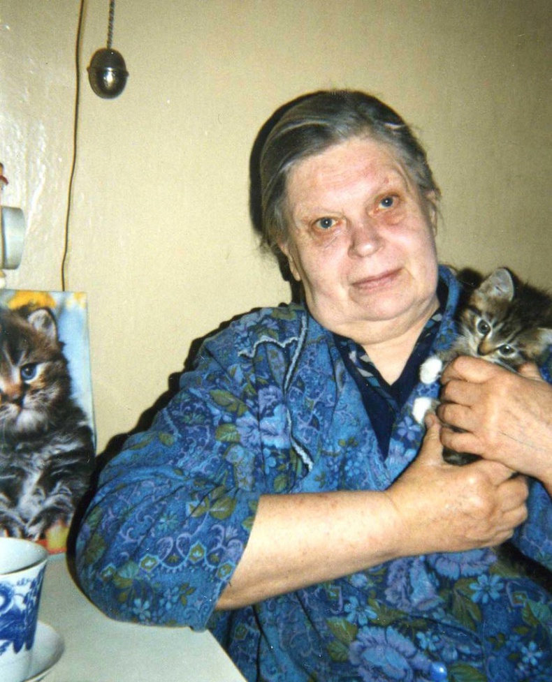 Иллюстрация к книге — Кулинария от Голиба [image8_5478cdb6c51f957522310482_jpg.jpg]