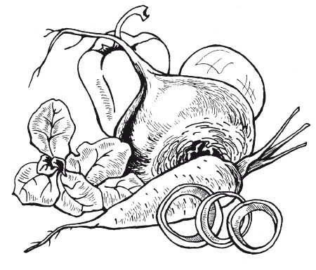 Иллюстрация к книге — Летние супы, окрошки, свекольники и другие. Готовим, как профессионалы! [i_008.jpg]